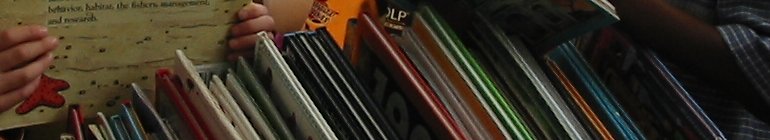 Ms. Nancy's Library Blog random header image
